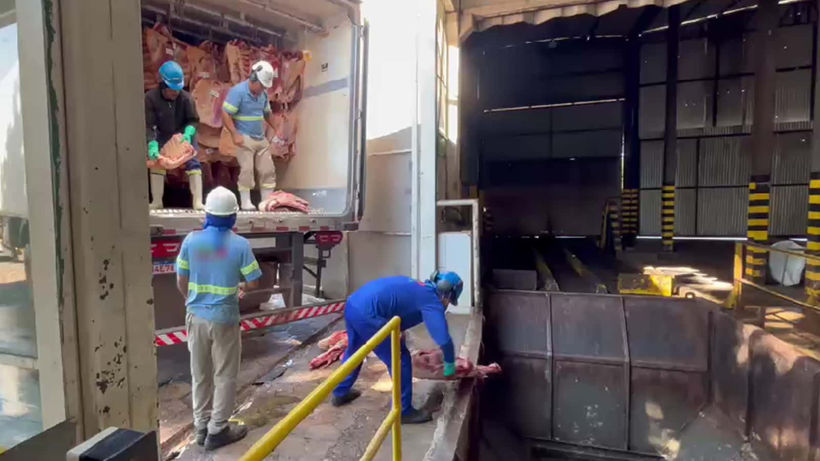 PF determina destruição de 30 toneladas de carne após apreensão de 500 quilos de drogas em Rio Preto (SP)