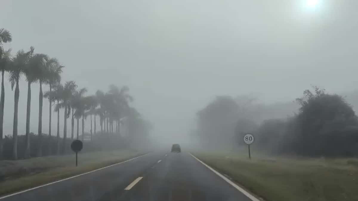 Forte neblina encobre Potirendaba (SP) e exige atenção redobrada de motoristas