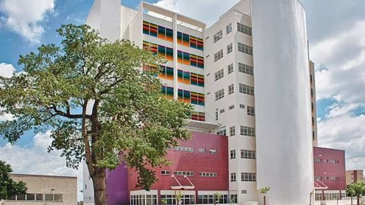 Gestante de 5 meses é atropelada e motorista foge sem prestar socorro em Rio Preto (SP)